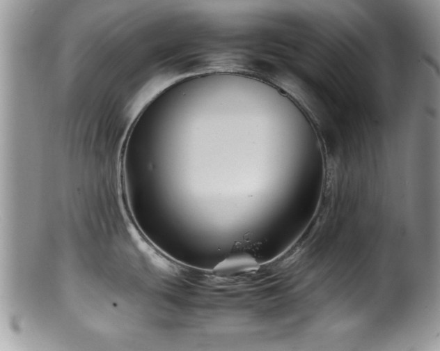 X0000099511439200805151449