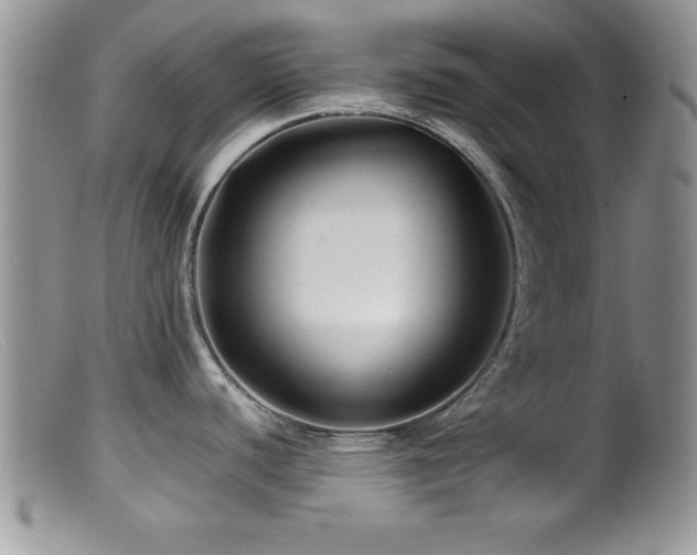 X0000099511440200805151449