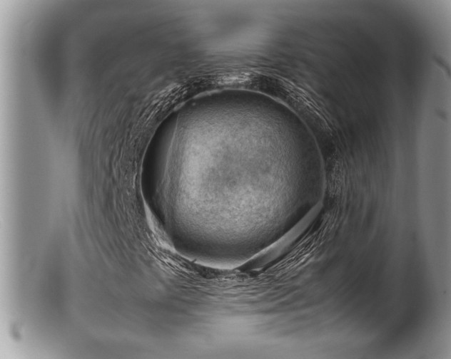X0000099511441200805151448