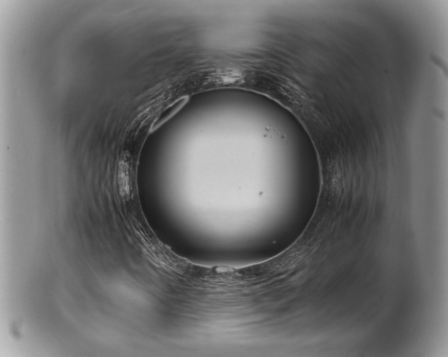 X0000099511442200805151448