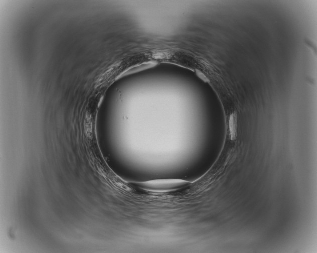 X0000099511443200805151448