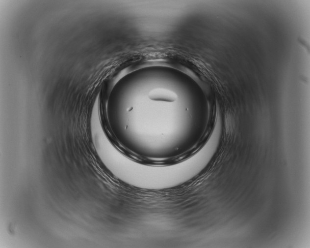 X0000099511444200805151448