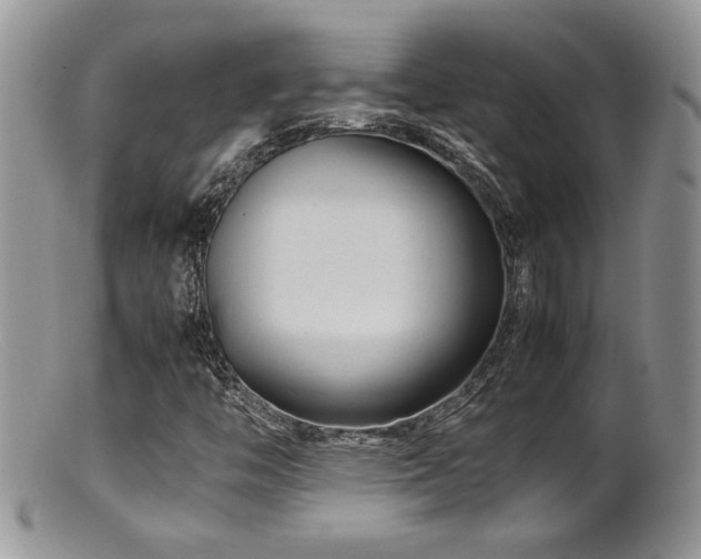 X0000099511446200805151448