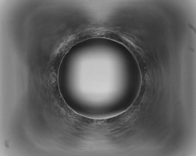 X0000099511447200805151448