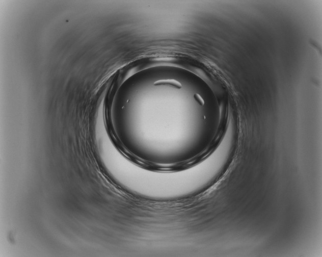 X0000099511449200805151448