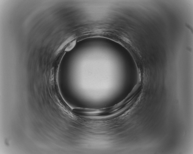 X0000099511450200805151448