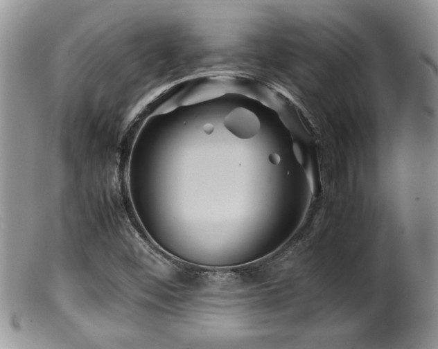X0000099511452200805151448