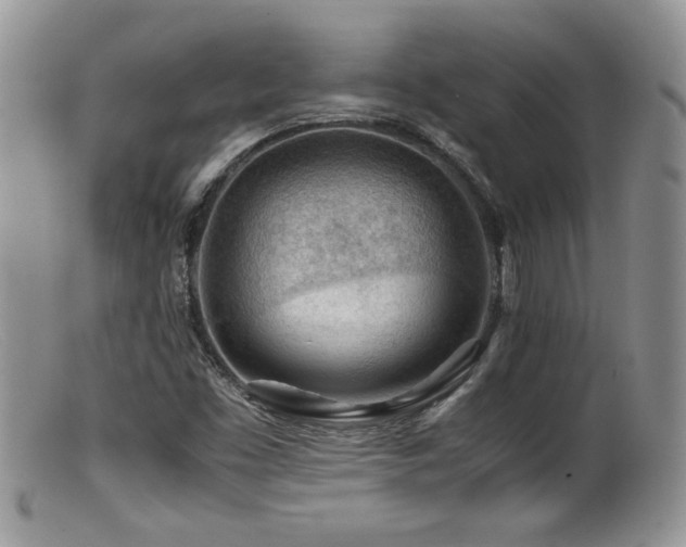 X0000099511453200805151448
