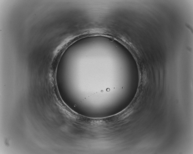 X0000099511454200805151448