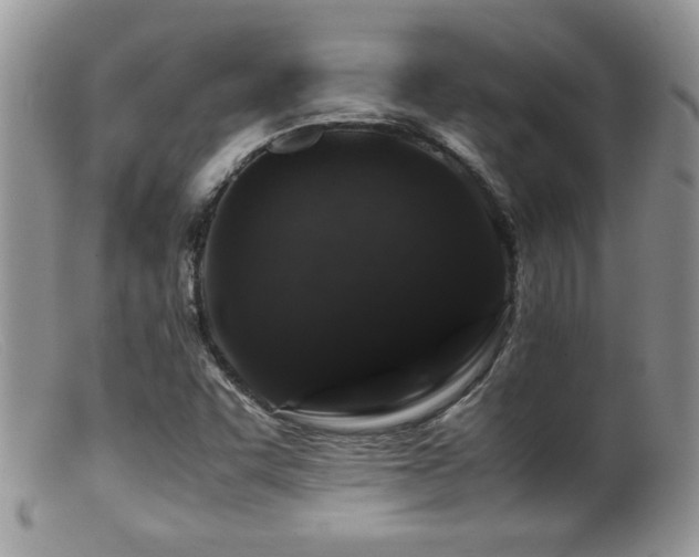X0000099511455200805151448