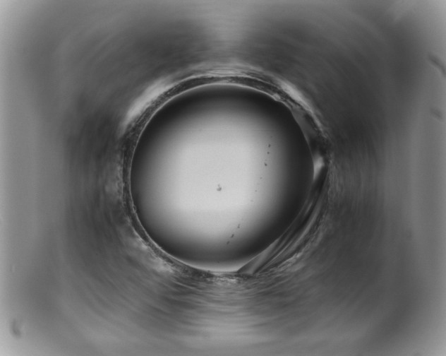 X0000099511456200805151448