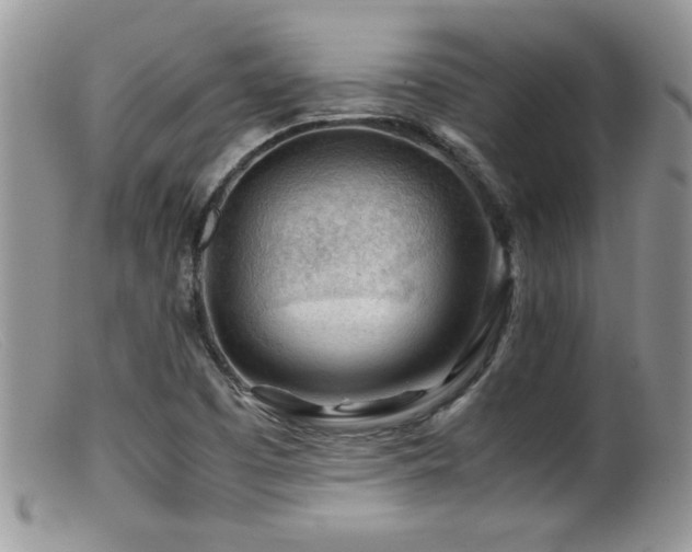X0000099511457200805151448