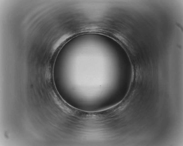 X0000099511458200805151448