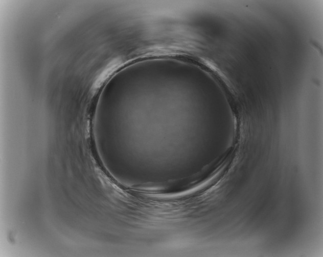 X0000099511459200805151448