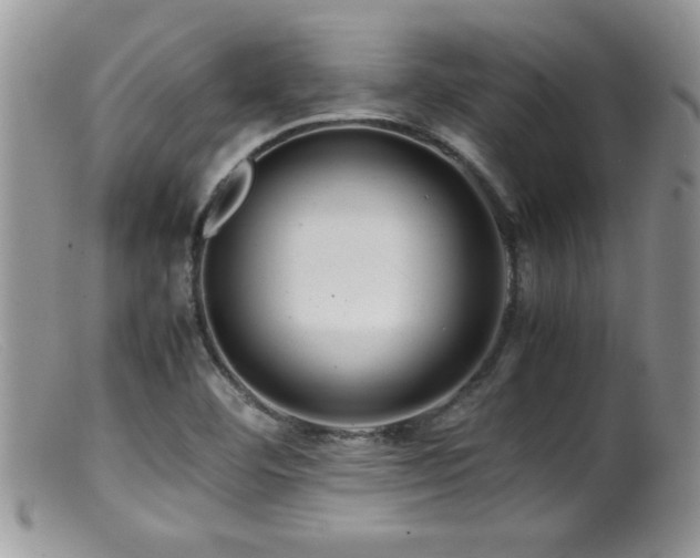 X0000099511460200805151448