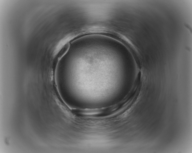 X0000099511461200805151448