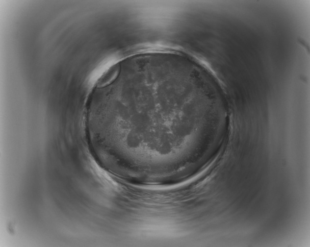X0000099511463200805151448