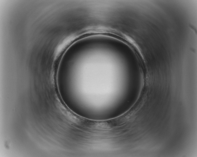 X0000099511464200805151448