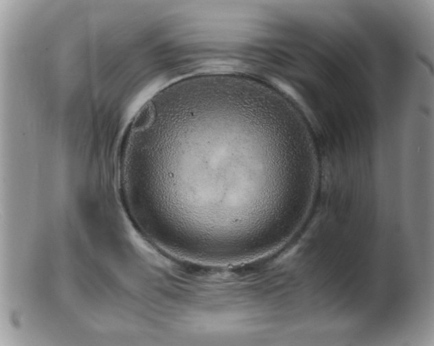 X0000099511467200805151448