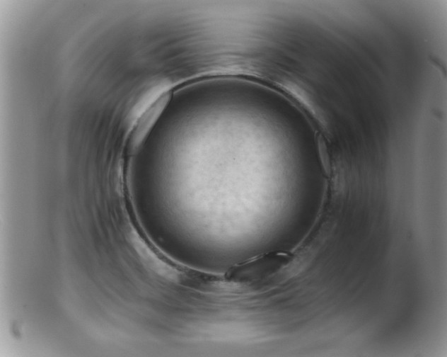 X0000099511468200805151448