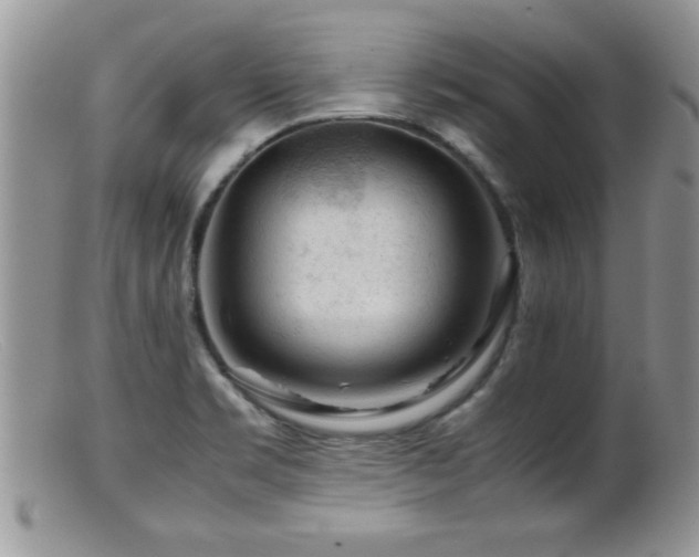 X0000099511469200805151448