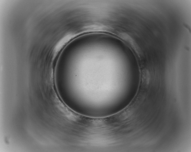 X0000099511472200805151448
