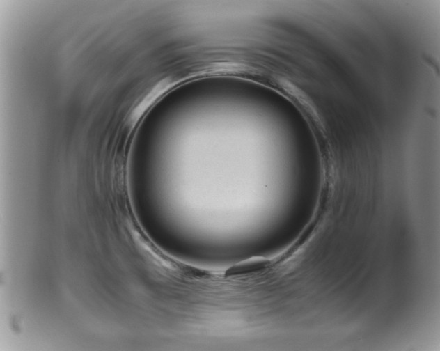X0000099511473200805151448