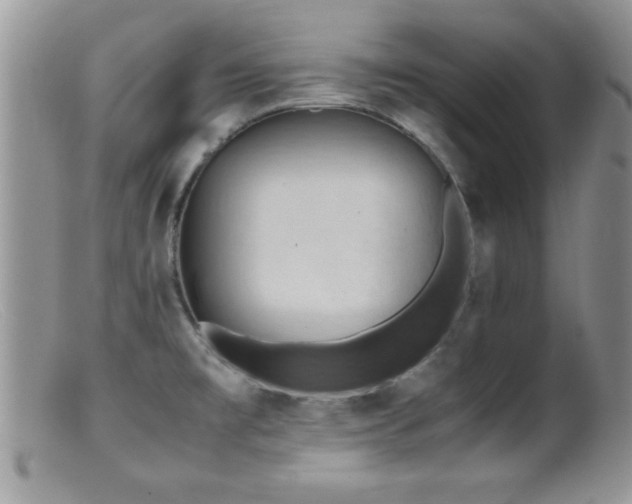 X0000099511477200805151448