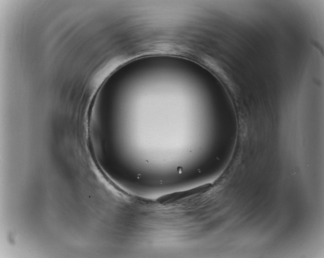 X0000099511479200805151448