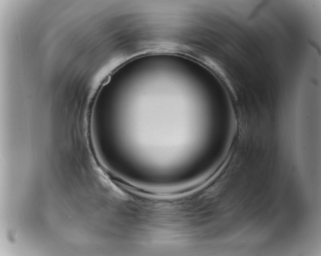 X0000099511480200805151448