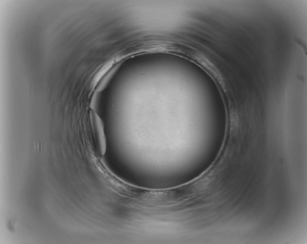 X0000099511481200805151448