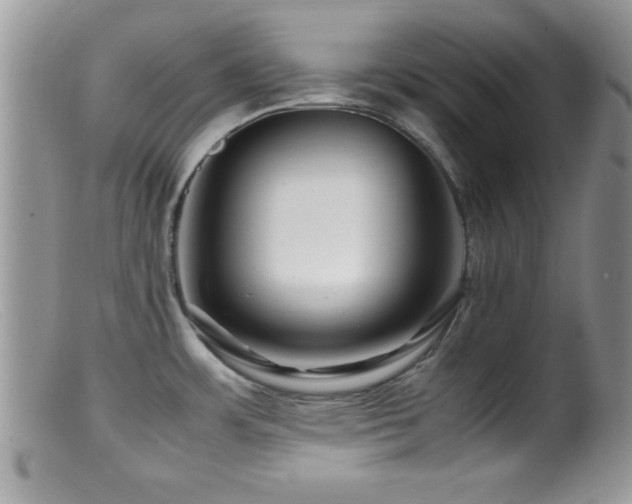 X0000099511483200805151448