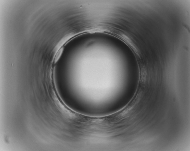X0000099511484200805151448