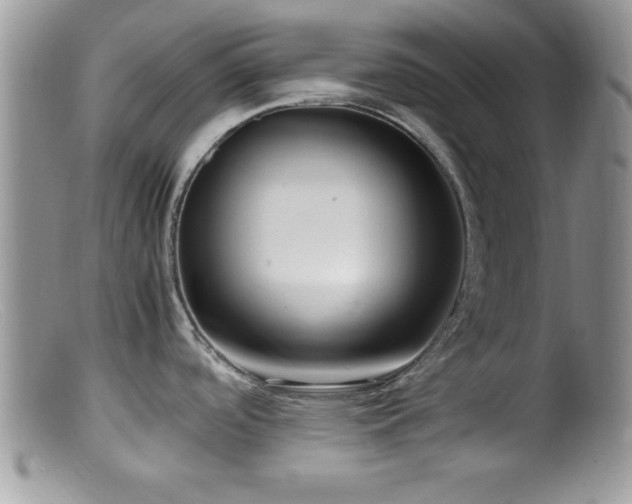 X0000099511488200805151448