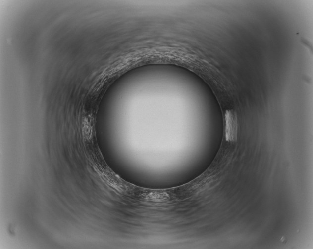 X0000099511491200805151447