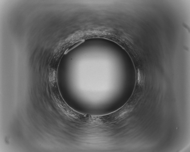 X0000099511492200805151447