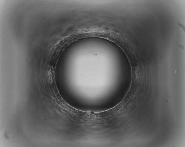 X0000099511493200805151447