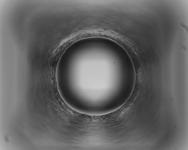 X0000099511494200805151447