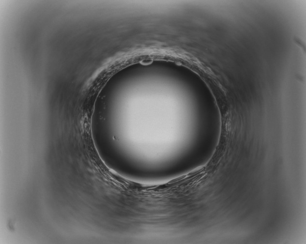 X0000099511495200805151447