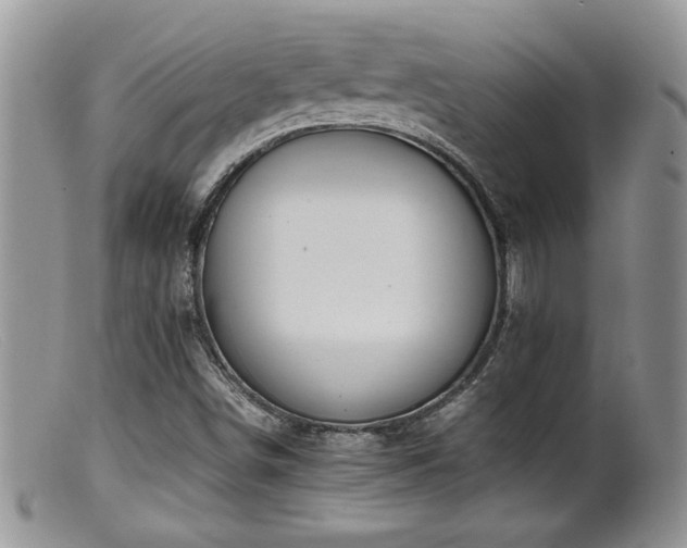 X0000099511498200805151447