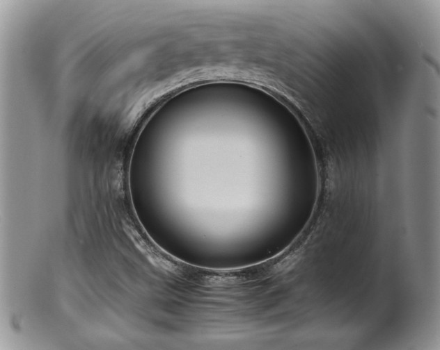 X0000099511499200805151447