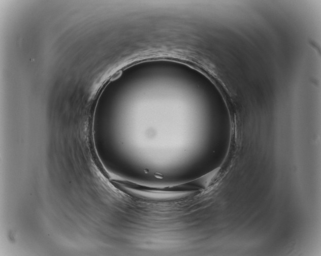 X0000099511500200805151447