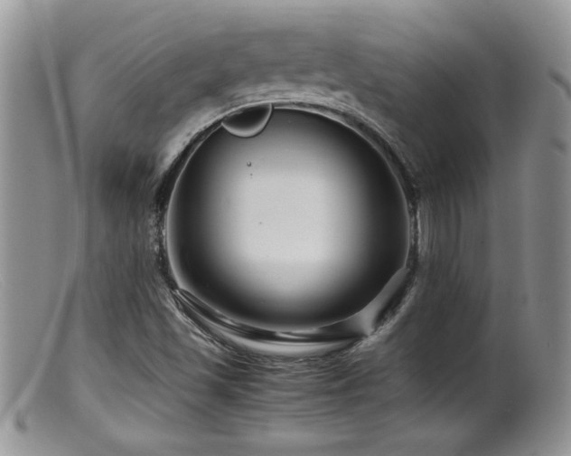 X0000099511501200805151447
