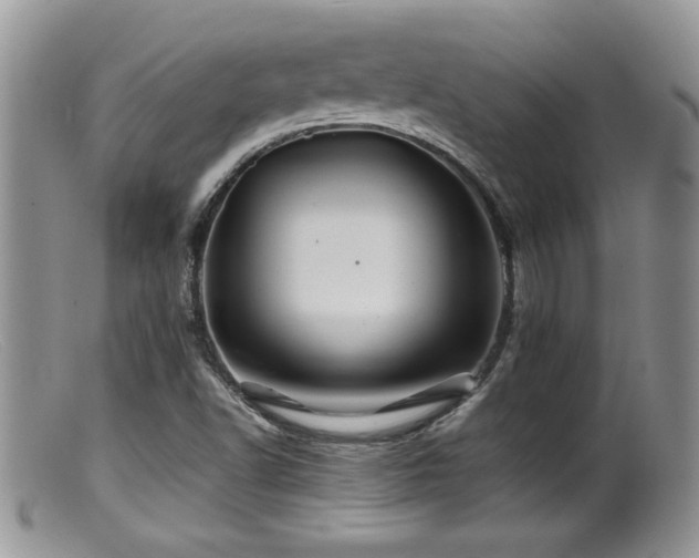 X0000099511502200805151447