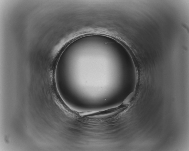 X0000099511503200805151447
