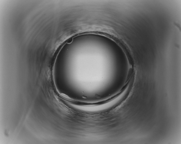 X0000099511505200805151447