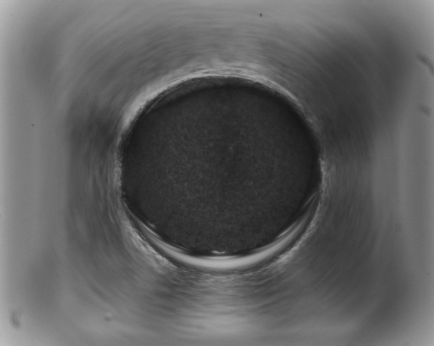 X0000099511506200805151447