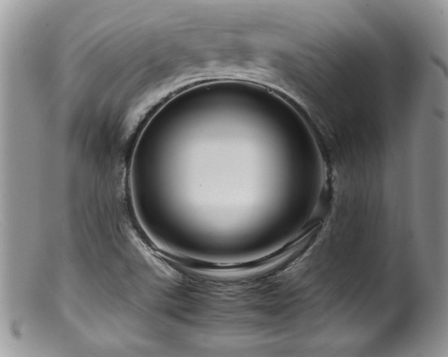 X0000099511507200805151447