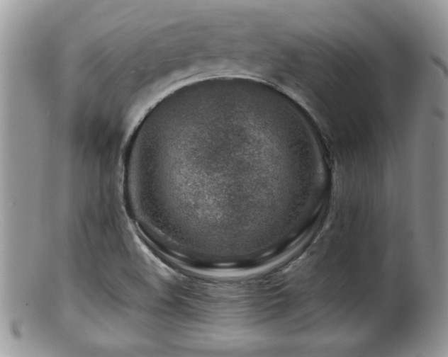 X0000099511508200805151447