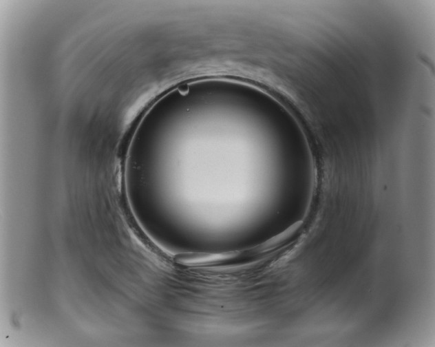 X0000099511509200805151447